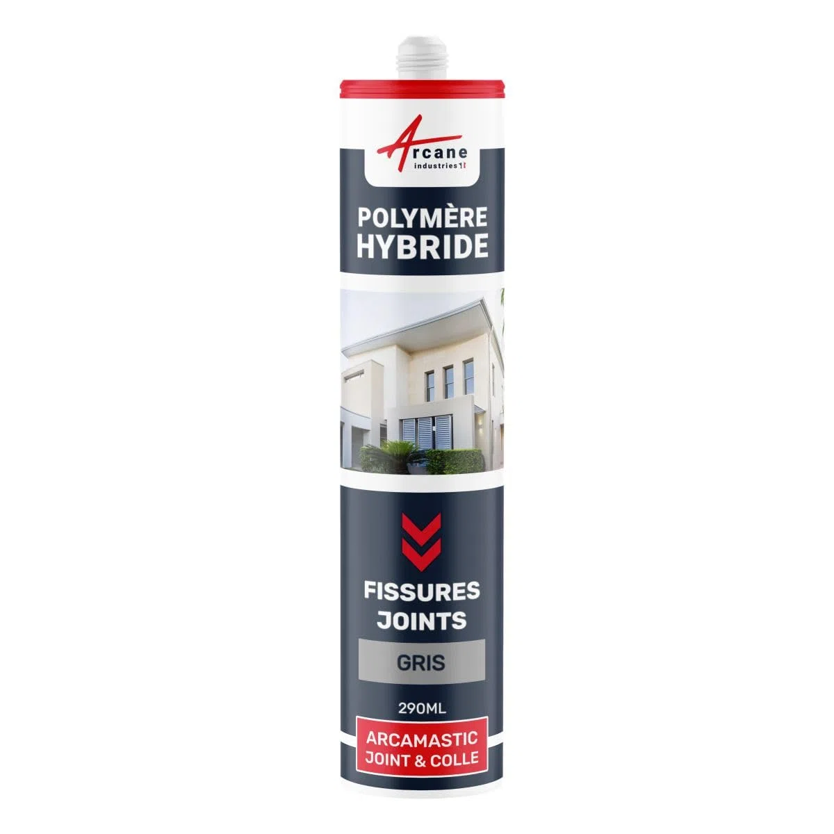Mastic d'étanchéité, joint extérieur, fissure, béton - 290 ml x 1 Gris Clair - ARCANE INDUSTRIES